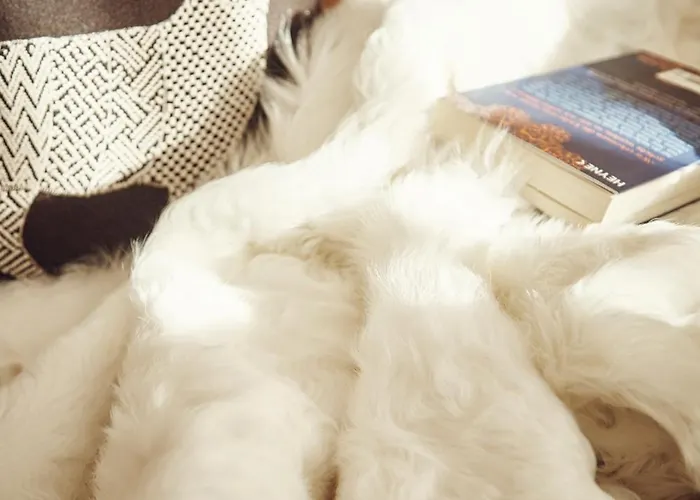 Private Homes By Solaria Davos