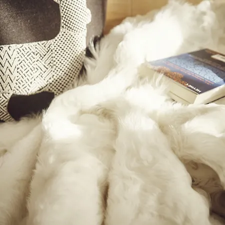 Private Homes By Solaria