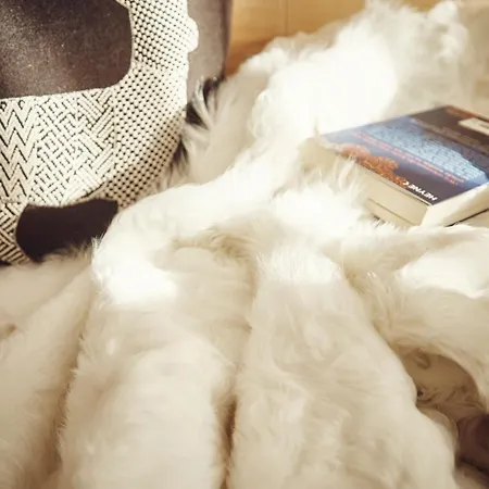 Private Homes By Solaria Davos